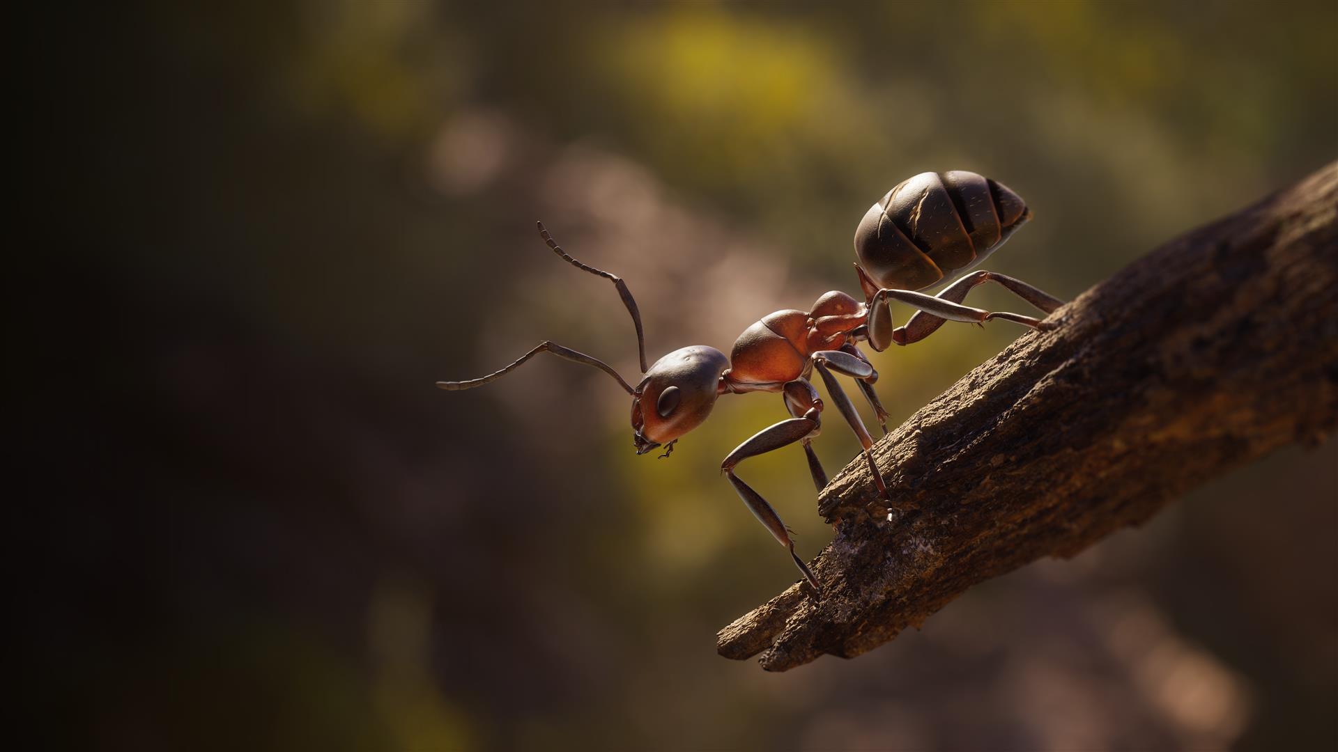 Empire of the Ants